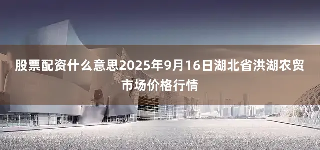股票配资什么意思2025年9月16日湖北省洪湖农贸市场价格行情