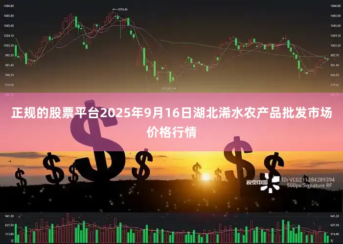 正规的股票平台2025年9月16日湖北浠水农产品批发市场价格行情
